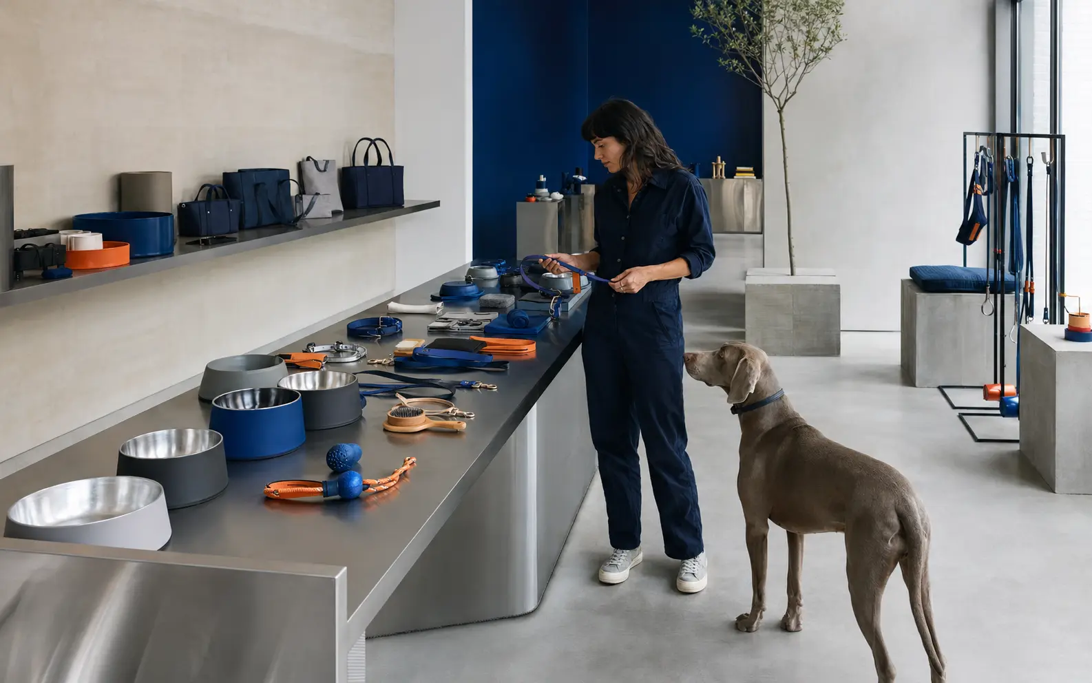 Pet retail buyer reviewing products in a contemporary boutique